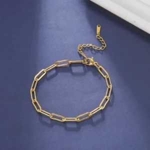 Skyrim Friendship Paperclip Link Chain Men Women Girls Stainless Steel Gold Color Bracelets Minimalist Jewelry Valentine Gift 1